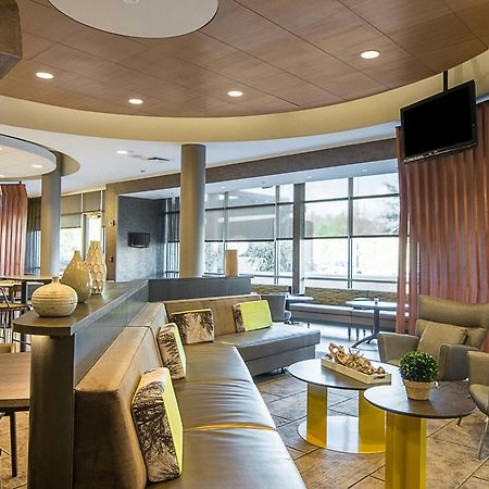 Springhill Suites Tampa North/Tampa Palms Bagian luar foto
