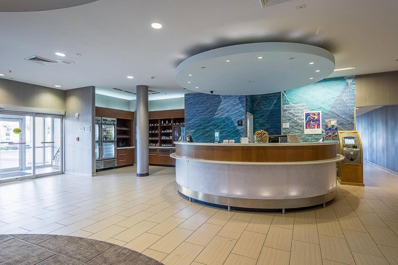 Springhill Suites Tampa North/Tampa Palms Bagian luar foto