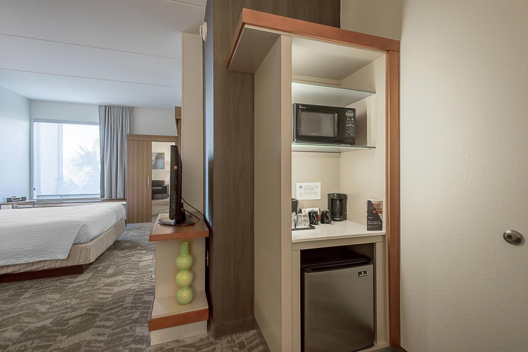 Springhill Suites Tampa North/Tampa Palms Bagian luar foto