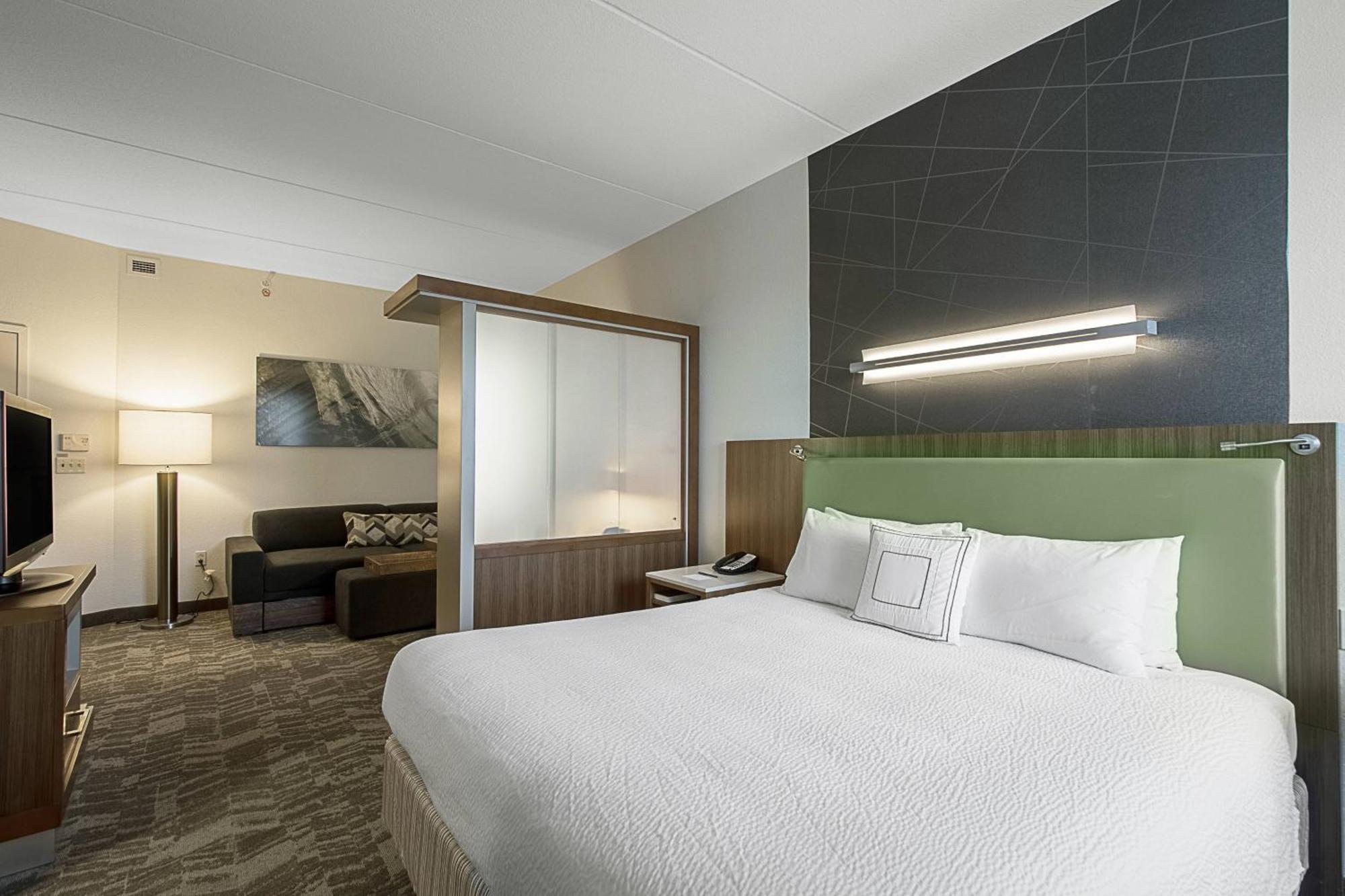 Springhill Suites Tampa North/Tampa Palms Bagian luar foto