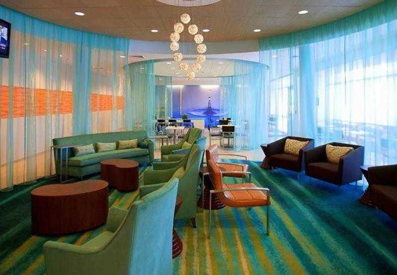 Springhill Suites Tampa North/Tampa Palms Interior foto